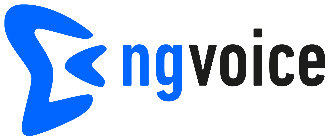 ng-voice